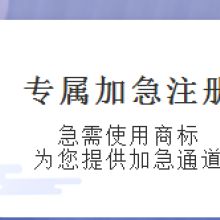 知識產(chǎn)權(quán)代理服務 石家莊品良的專業(yè)供應產(chǎn)品