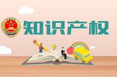 知識產(chǎn)權(quán)獲得情況及其對產(chǎn)品服務的技術(shù)支撐作用